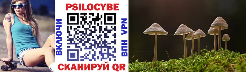 Псилоцибиновые грибы Cubensis  купить   гидра ССЫЛКА  Таруса 